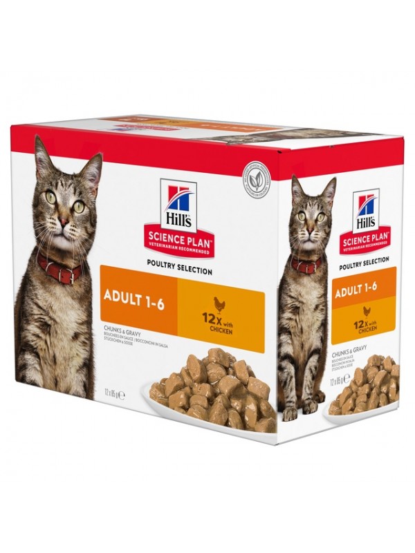Hills kassi einekotike kana 85g n12