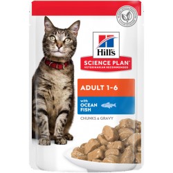Hills kassi einekotike ookeanikala 85g n12