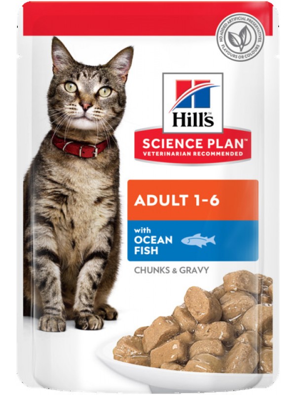 Hills kassi einekotike ookeanikala 85g n12