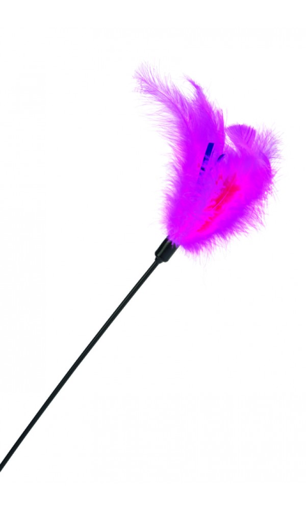 Beeztees kassi mänguasi suled pulga otsas 36/45cm roosa