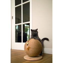 Beeztees dbl kassi kraapimiskera balty 30x30x27cm