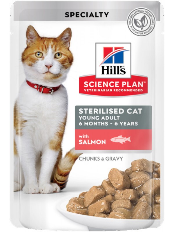 Hills kassi einekotike young steril.lõhe 85g n12
