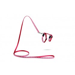 Beeztees kassipoja traksid hearts 120x10cm punane