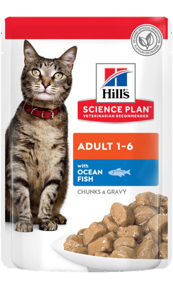 Hills kassi einekotike ookeanikala 85g n1