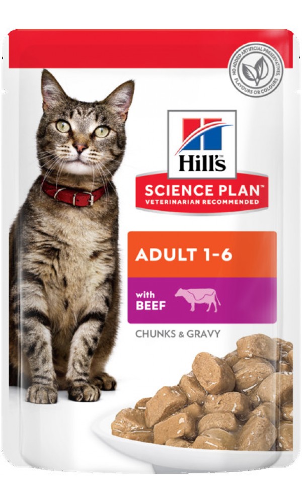 Hills kassi einekotike veis 85g n1