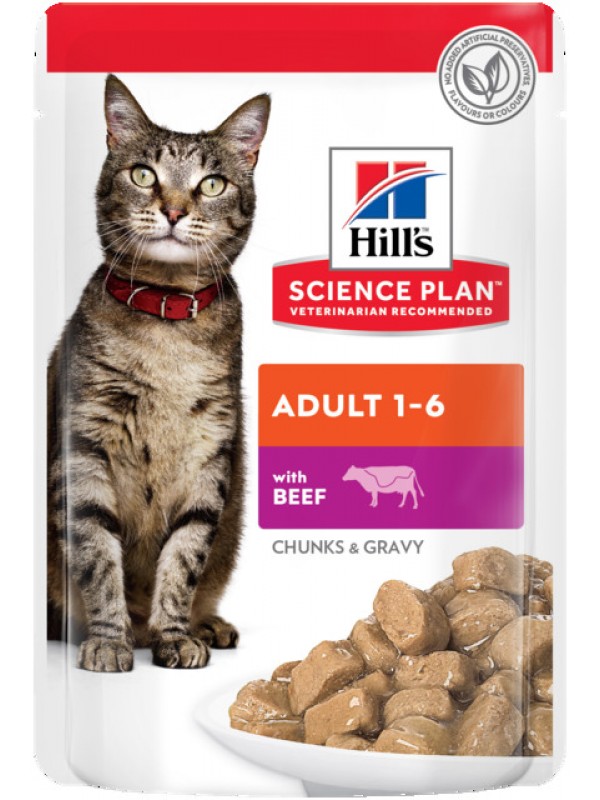Hills kassi einekotike veis 85g n1