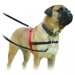 Halti koera tirimisvastased traksid s