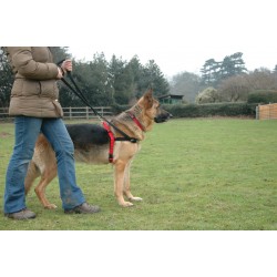 Halti koera tirimisvastased traksid l