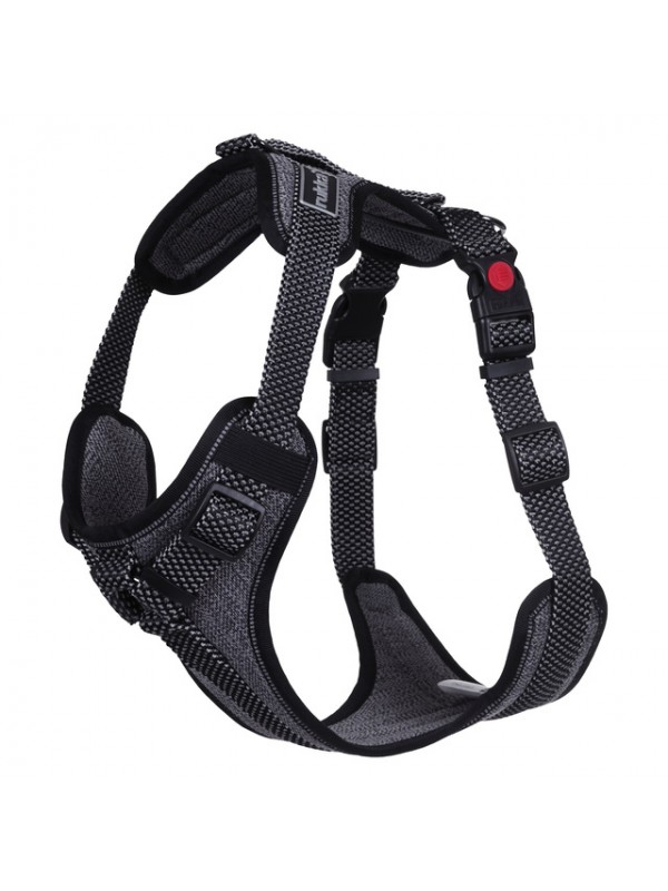 Rukka traksid star s must