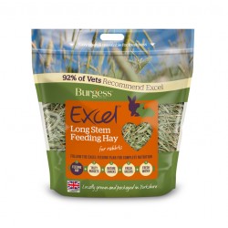 Burgess excel hein long stem 1kg