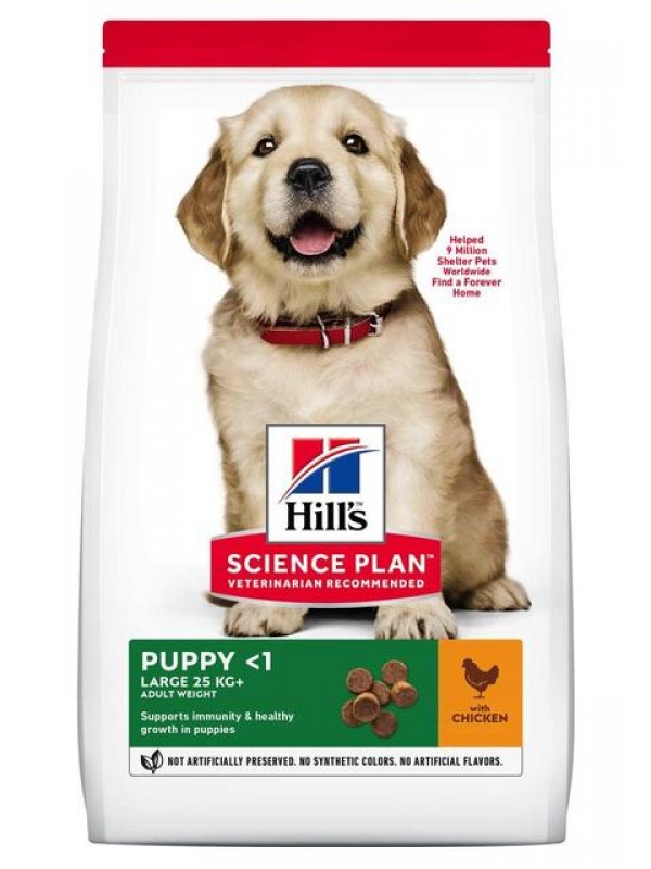 Hills kutsika täissööt suur tõug kana 14,5kg