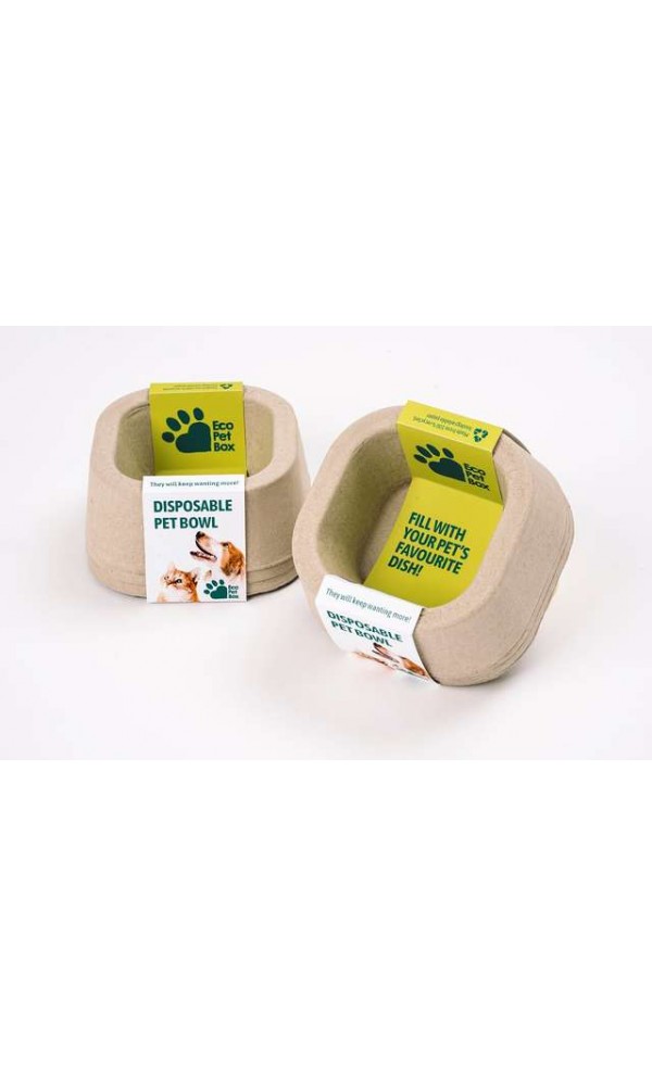  Kassi  sööginõud  ühekordne eco pet box  155x155x60mm 