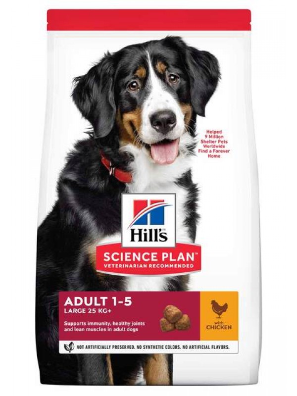 Hills koera täissööt suur tõug kana 14kg