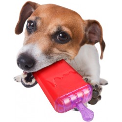 Flamingo koera jää pulgakomm külmikusse 16cm #