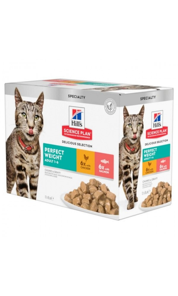 Hills kassi einekotike perfect weight multi 85g n12