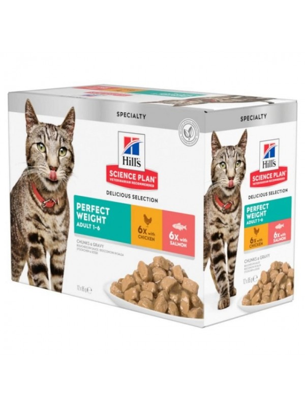 Hills kassi einekotike perfect weight multi 85g n12