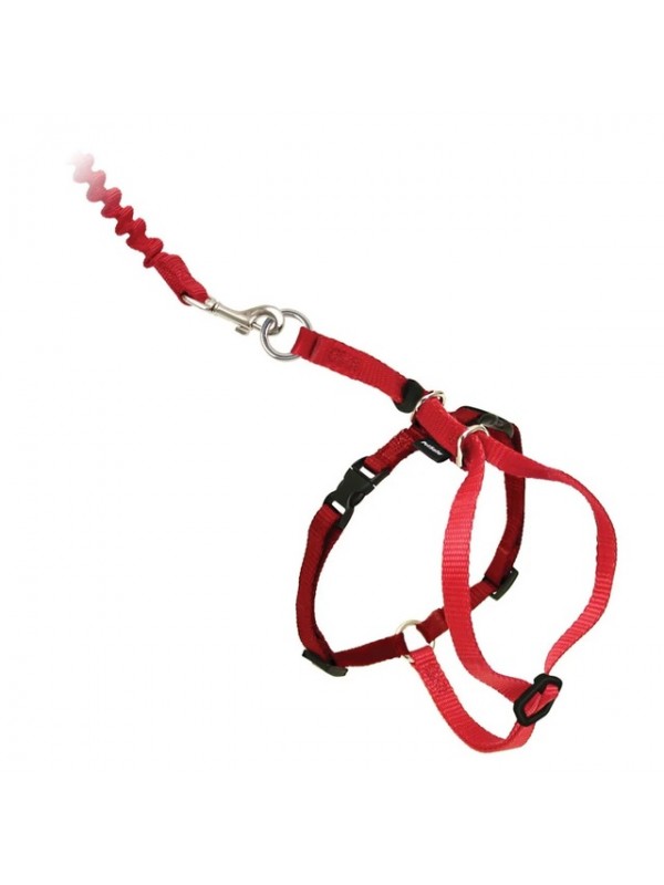 Petsafe kassi traksid easy walk punane s