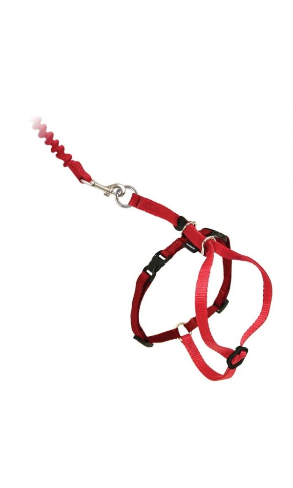 Petsafe kassi traksid easy walk punane m