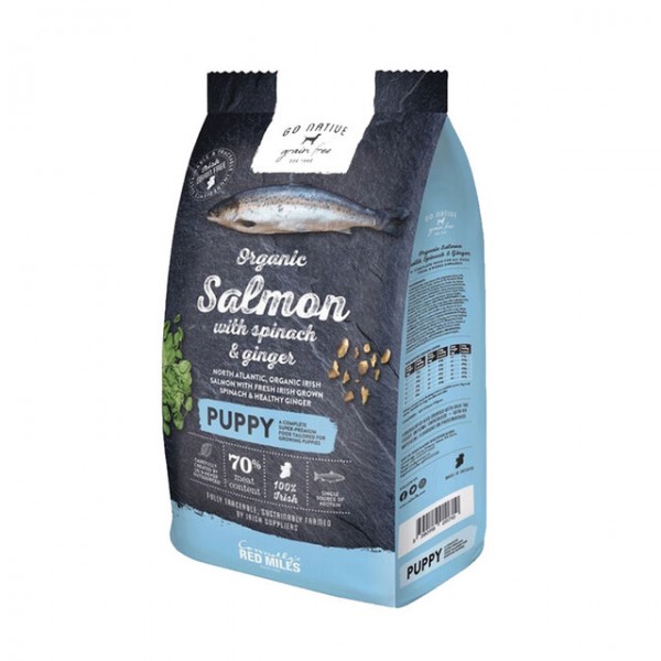 Go native kutsika täissööt lõhe/spinat/ingver 800g