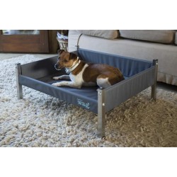 Henry wag koera pesa elevated m hall