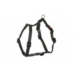 Flamingo koera h-traksid ziggi xl t.hall #