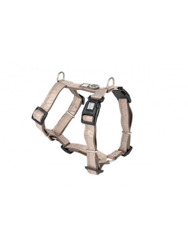 Max&molly koera traksid matrix 2.0 m beez #