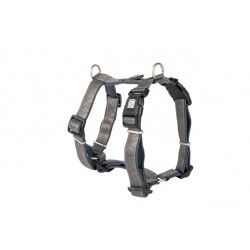 Max&molly koera traksid matrix 2.0 m hall #