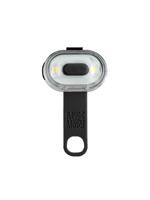 Max&molly koera matrix led tuluke safty must #