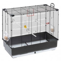 Ferplast puur piano 5 väikestele lindudele 70x38xh62