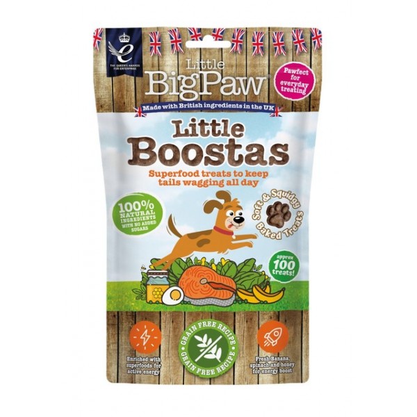 Little bigpaw koera maius superfood lõhe 90g n1