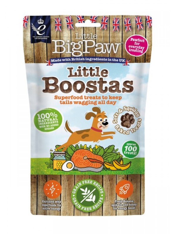 Little bigpaw koera maius superfood lõhe 90g n1