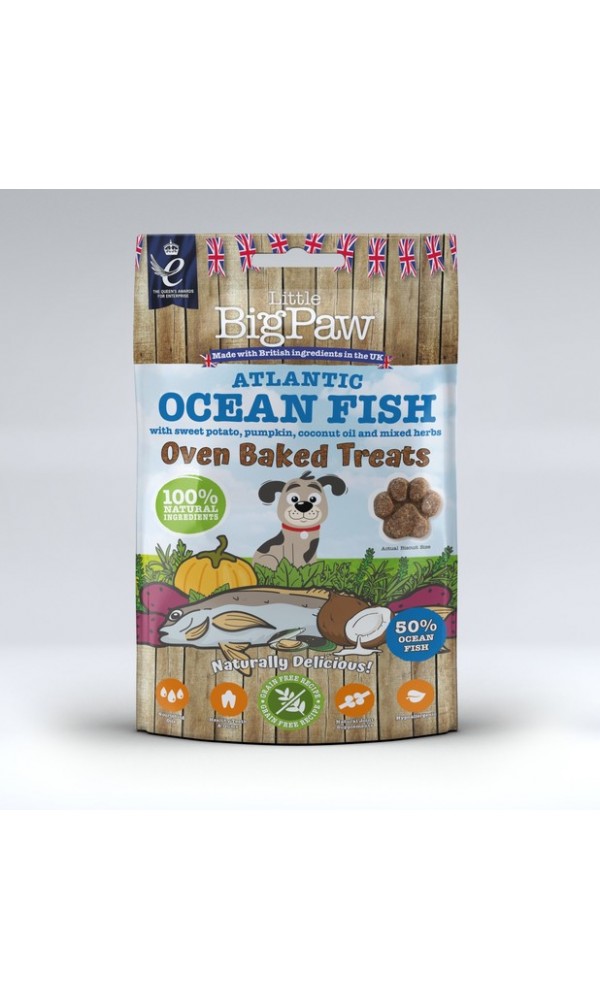 Little bigpaw koera maius oven baked ookeanikala 130g n1