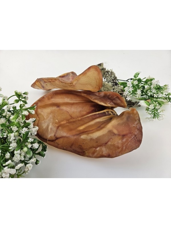 Ottomar koera maius kuivatatud seakõrv n2