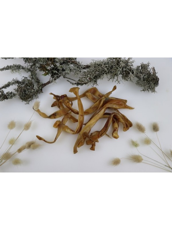 Ottomar koera maius kuivatatud seakõrva viilud 100g