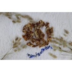 Ottomar koera maius kuivatatud sea sisekõrv 100g