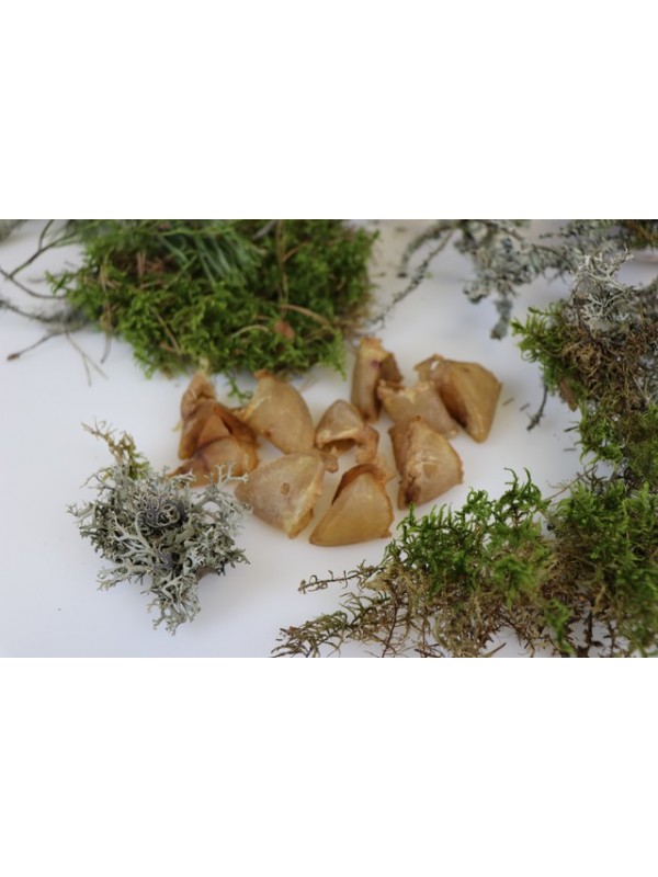 Ottomar koera maius kuivatatud seasõrg 60g