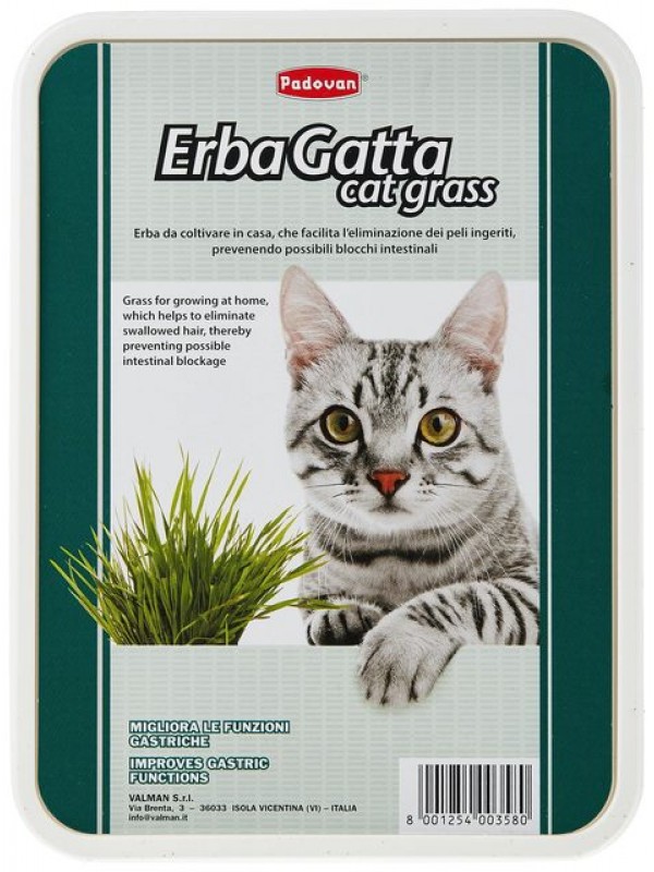 Pd kassimuru erbagatta