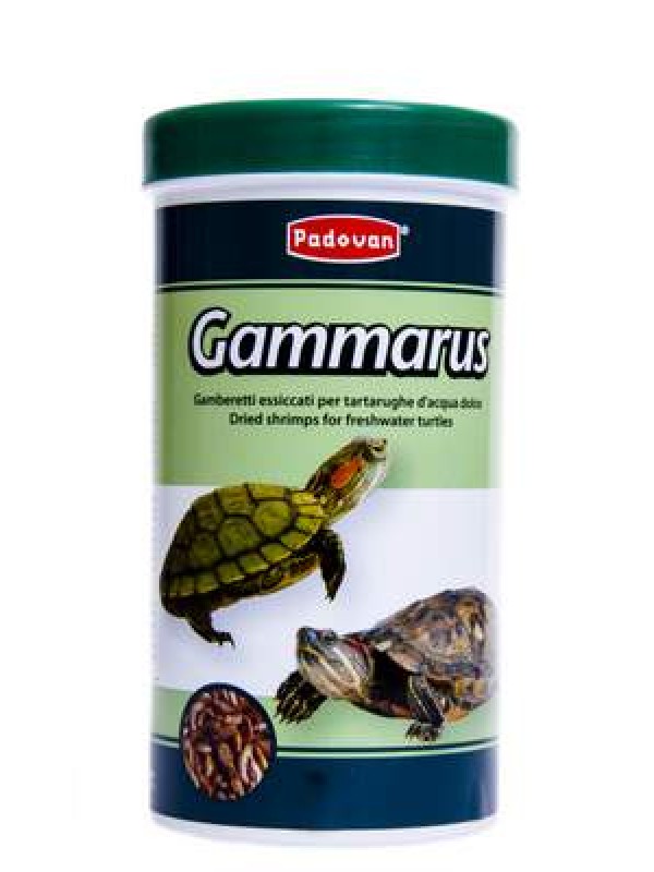 Pd kilpkonna täissööt gammarus 30g/250ml Pd kilpkonna täissööt gammarus 30g/250ml
