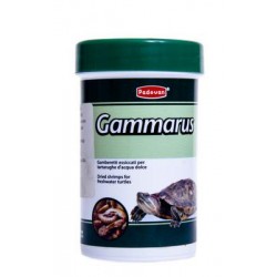 Pd kilpkonna täissööt gammarus 12g/100ml #