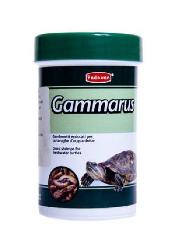 Pd kilpkonna täissööt gammarus 12g/100ml #