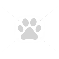 Finnero koera kaelarihm ocean sport 30-37cm must