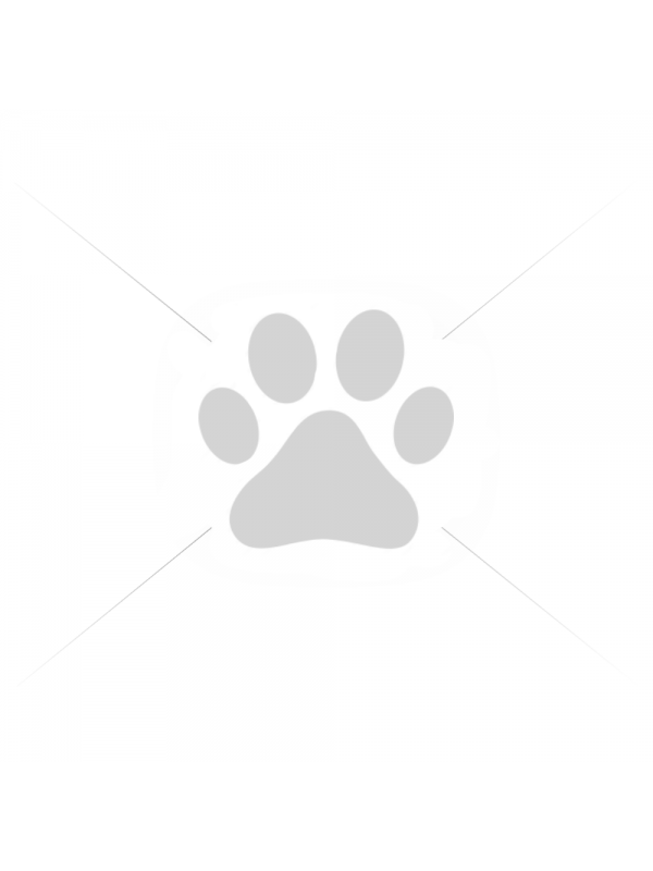 Royal Canin kassikonserv FHN AGEING+11 IN GRAVY (85g x 12)